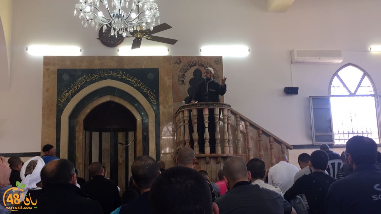 msjaed yaffa  (2).jpg